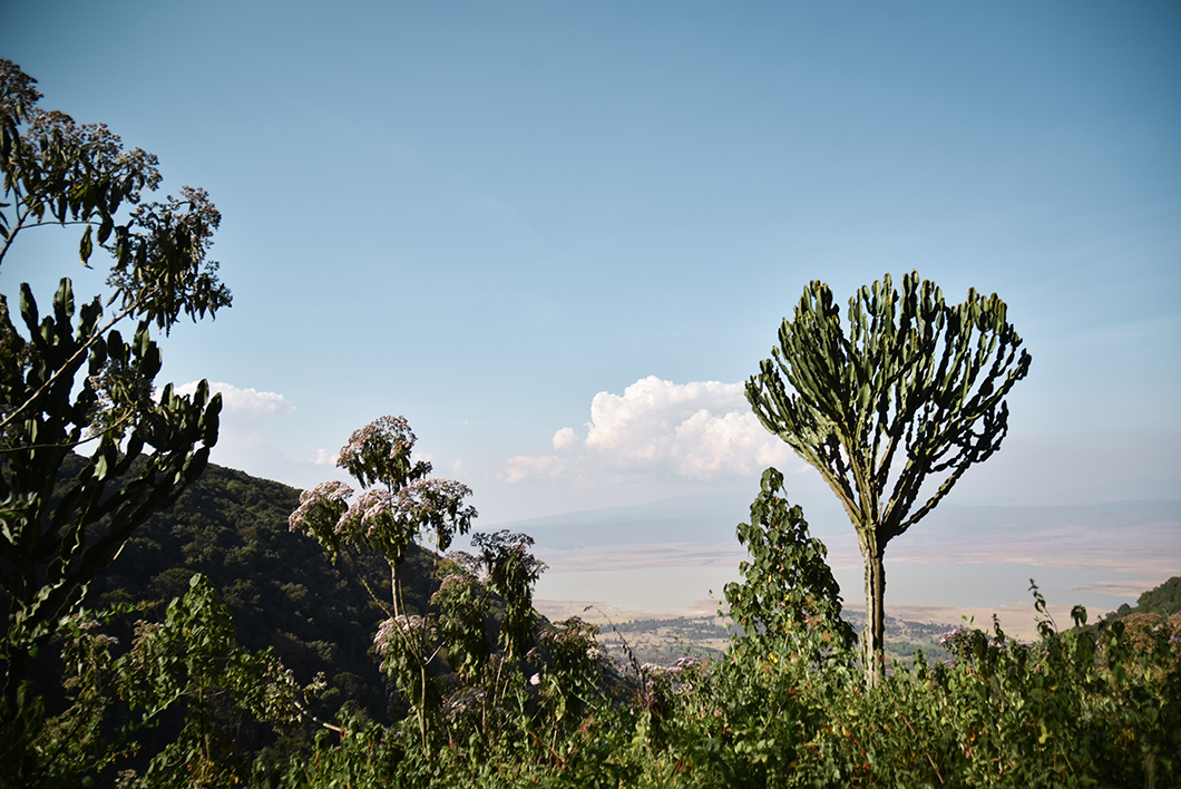 Les plus beaux points de vue du Cratère du Ngorongoro