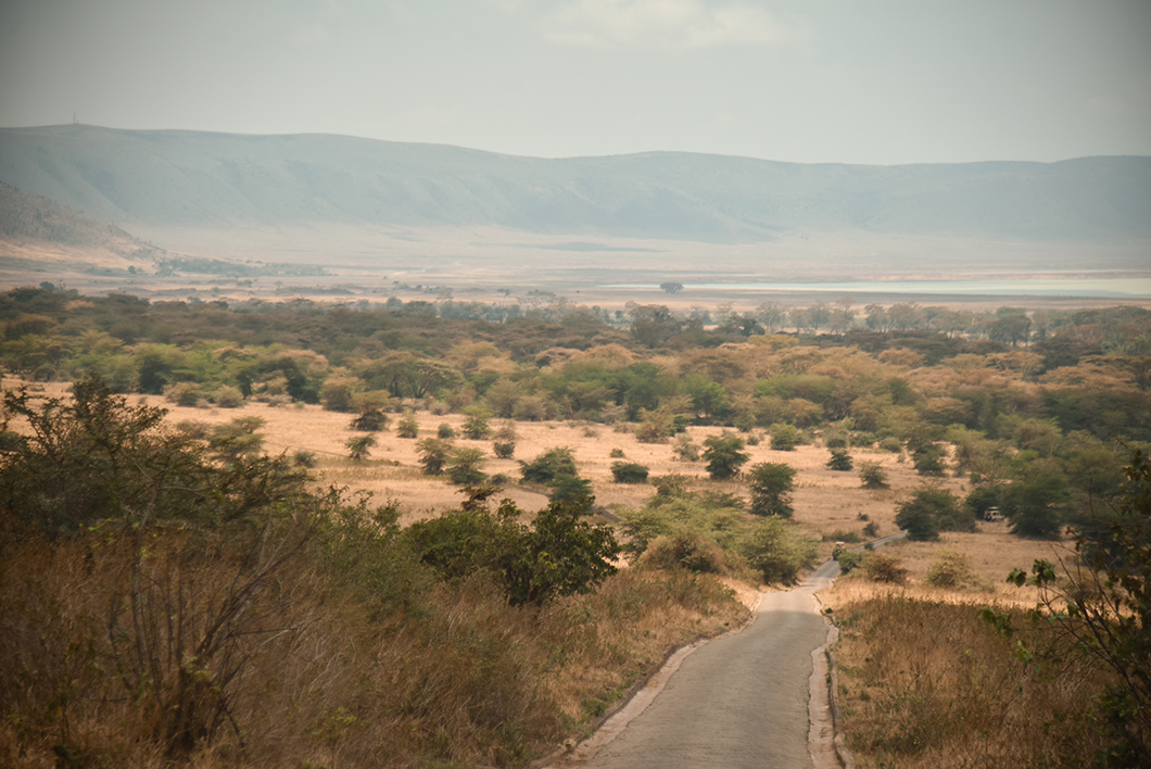 Safari au Cratère du Ngorongoro