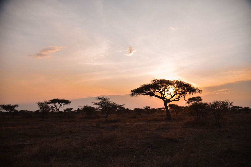 Coucher de soleil dans la région de Ndutu en Tanzanie