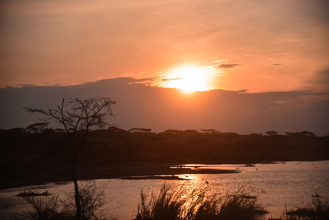 Sunset dans la région de Ndutu