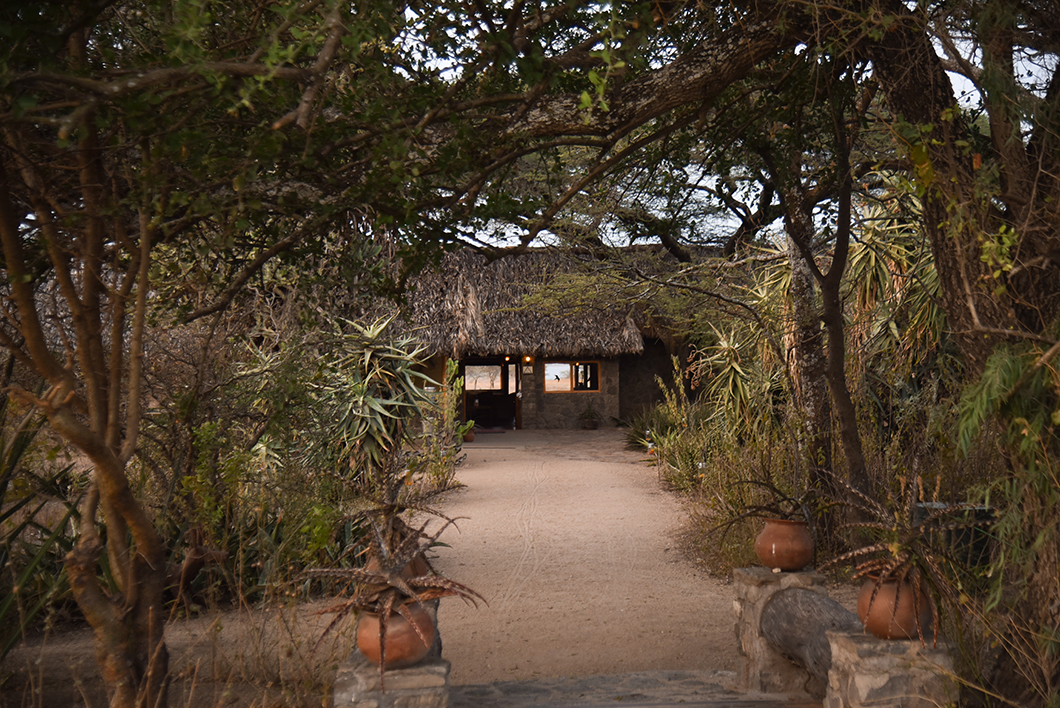 Ndutu Safari Lodge, bel hôtel en Tanzanie