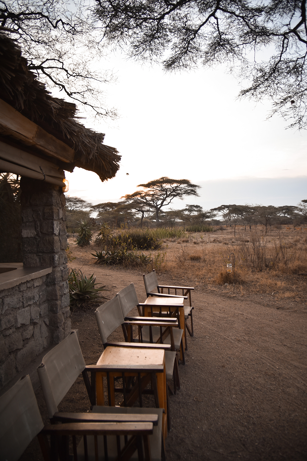 Ndutu Safari Lodge en Tanzanie