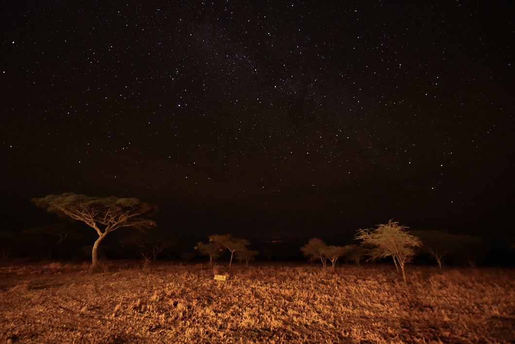 Nuit étoilée en Tanzanie