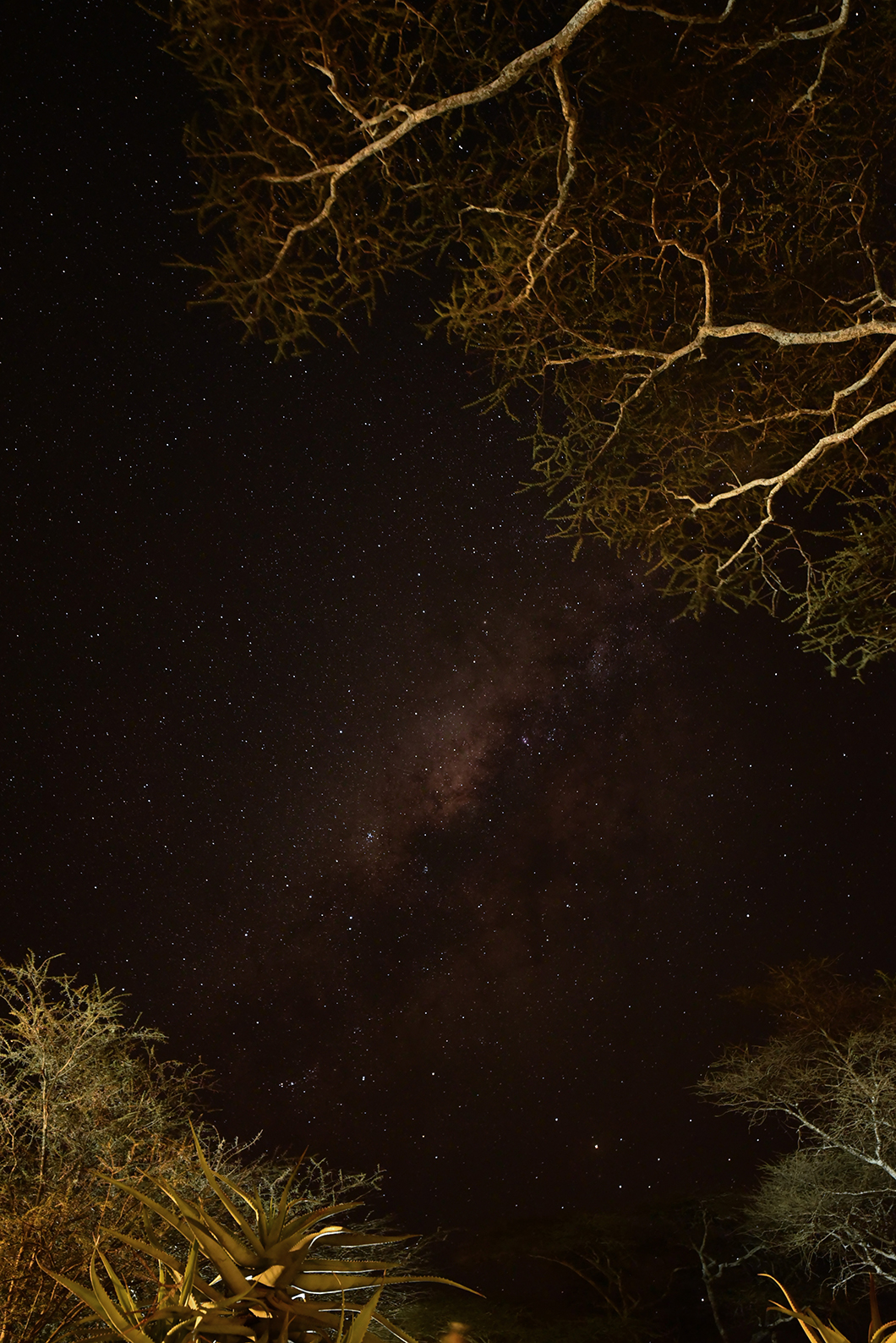 Nuit sous les étoiles au Ndutu Safari Lodge