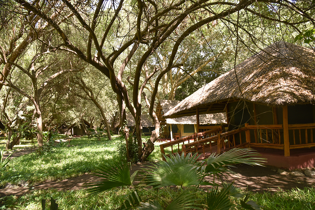 Top des camps en Tanzanie : Natron River Camp