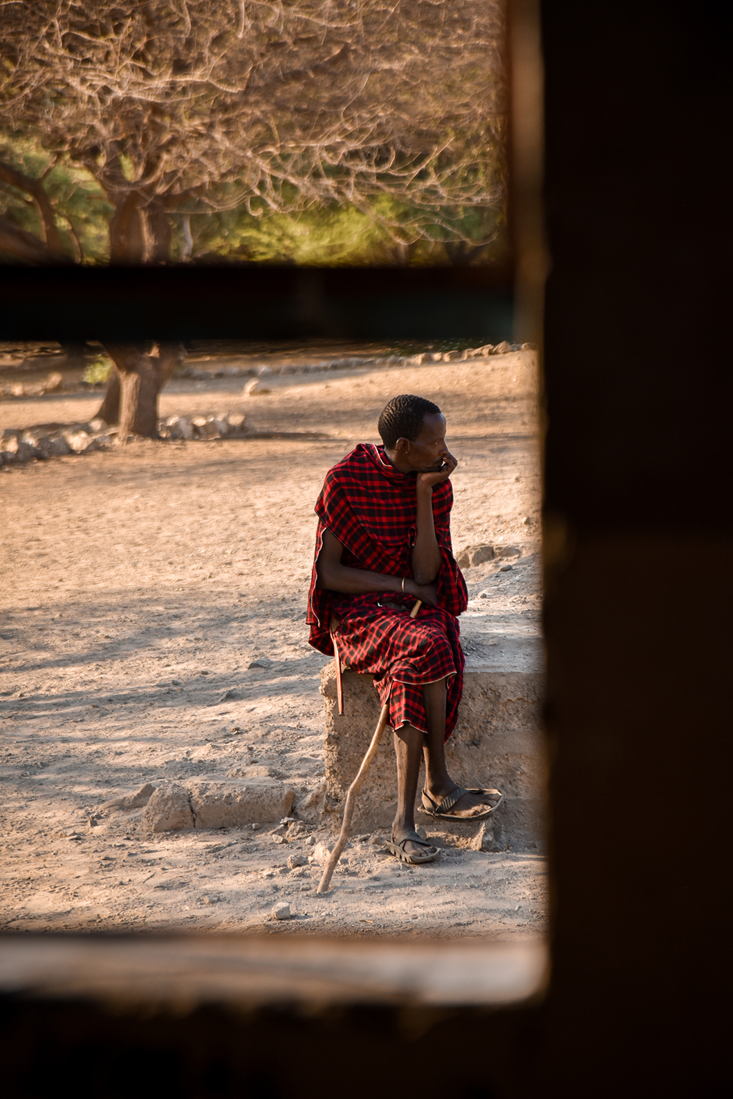 Où se trouvent les tribus Maasaï en Tanzanie ?