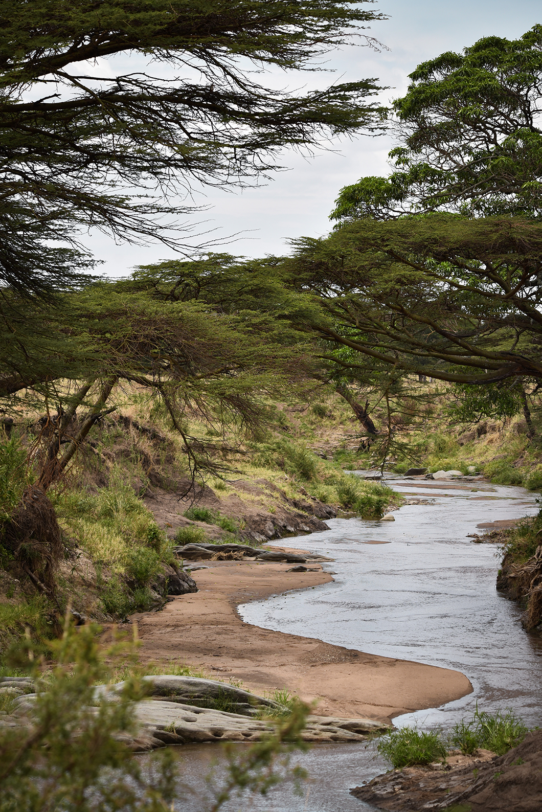 Visiter la Tanzanie et le Parc National du Serengeti