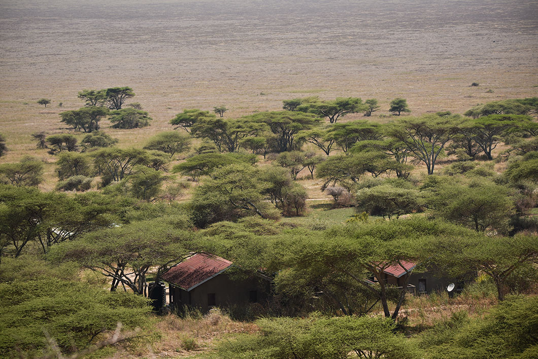 Vue depuis le Naabi Hill à Serengeti