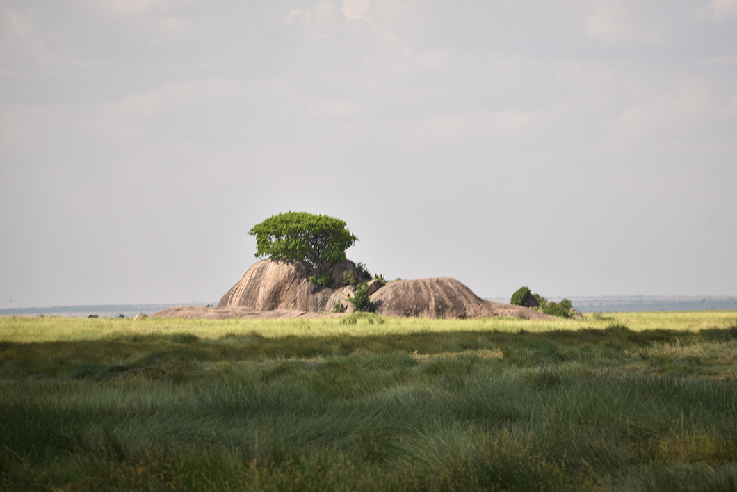 5 parcs à visiter en Tanzanie - Serengeti NP