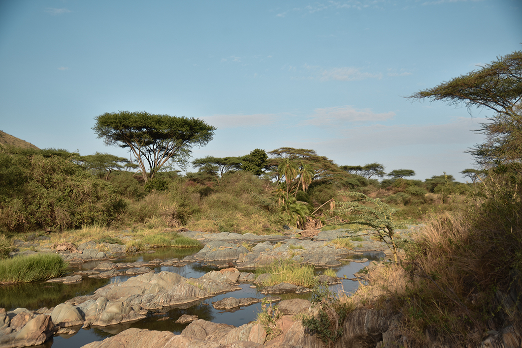 Serengeti NP, top des plus beaux endroits