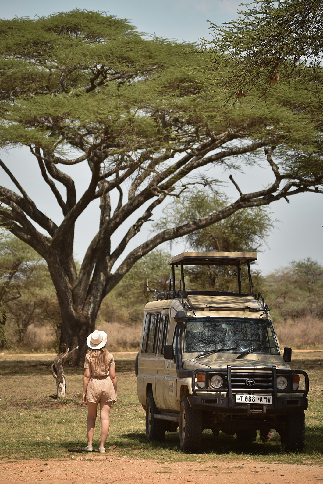 Top des plus beaux parcs de Tanzanie - Serengeti NP