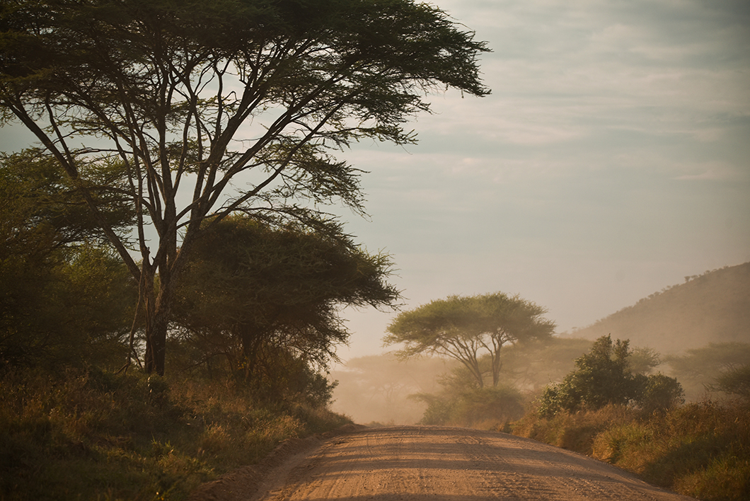 Safari en Tanzanie, sur les routes du Parc National du Serengeti