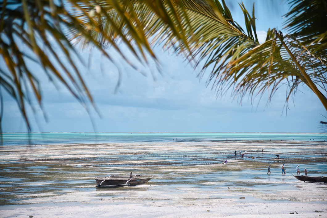 Activités incontournables à Zanzibar - Balades sur les plages de Jambiani et Paje