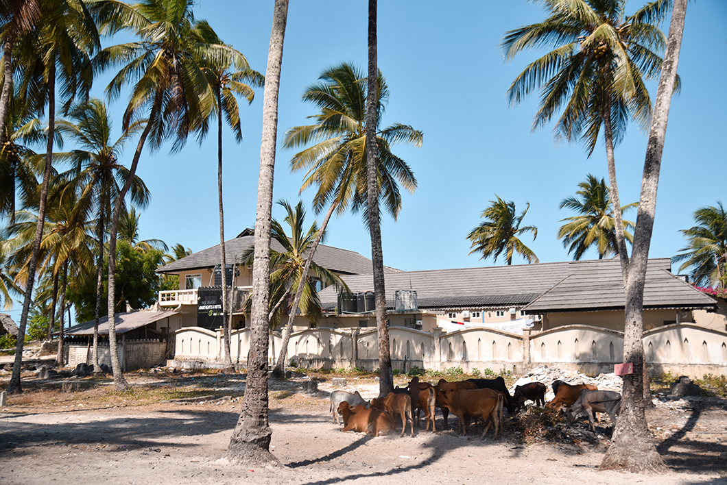 Jambiani, spots incontournables à Zanzibar