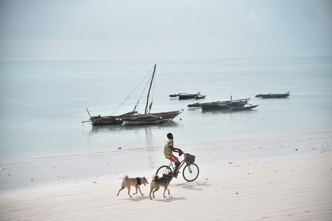 Que visiter à Zanzibar ? Paje et Jambiani
