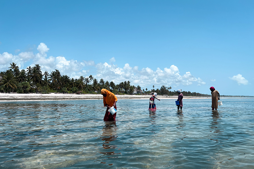 Activités nautiques à Zanzibar