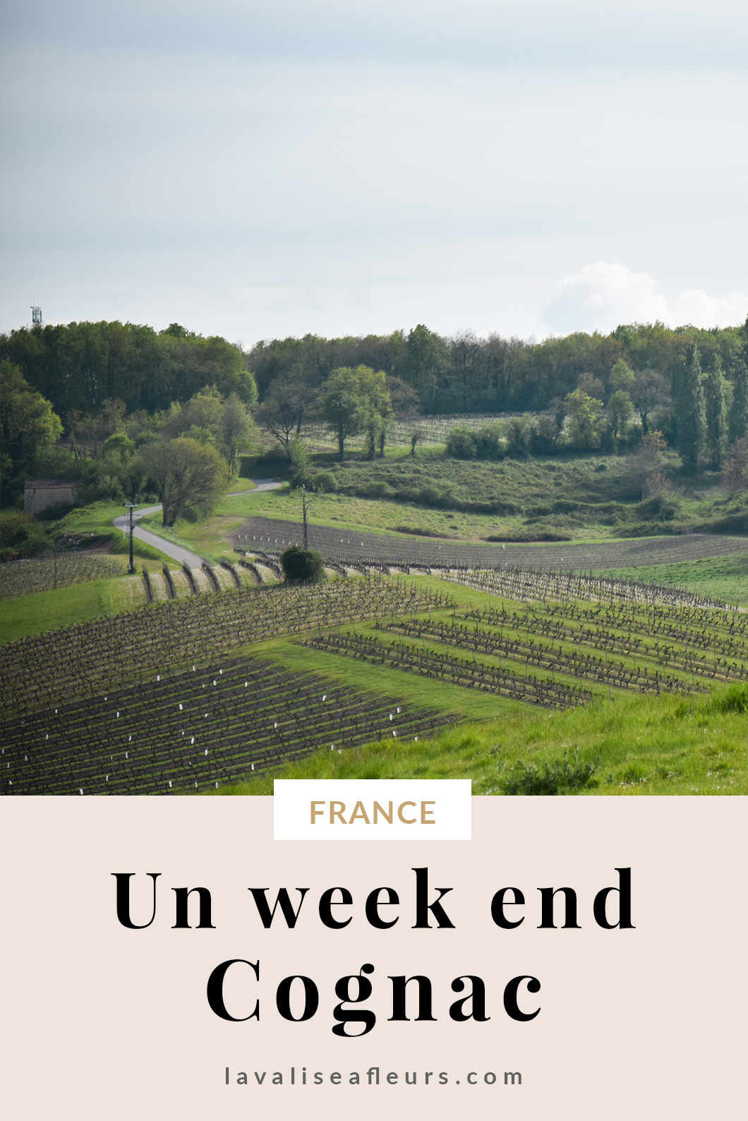 Guide d'un week end à Cognac en France