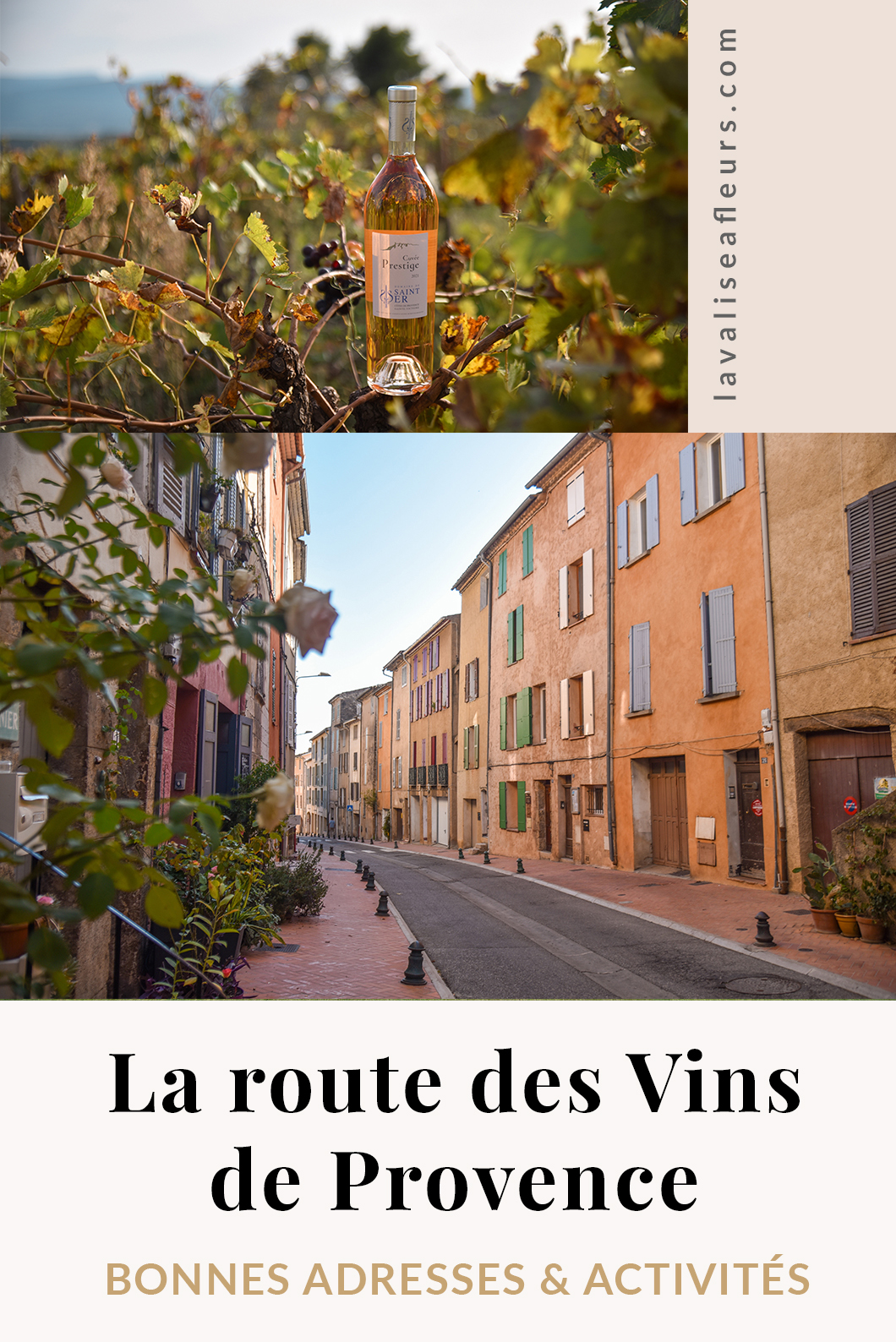 Route des Vins de Provence, nos incontournables